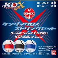 ストリングセット購入